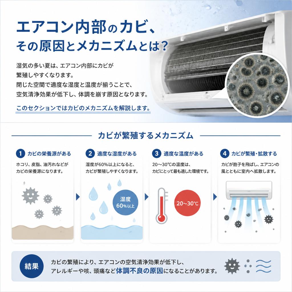カビの原因とは？