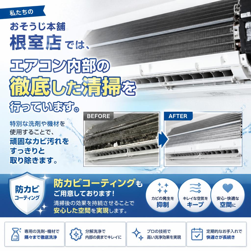専門的な清掃でカビを根本から排除